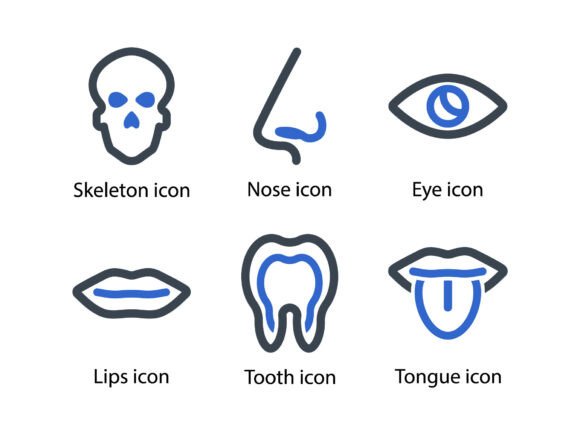 Human Body Organ Icon Set 1