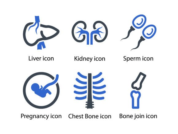 Human Body Organ Icon Set 3: Graphics and Icons for Real Projects